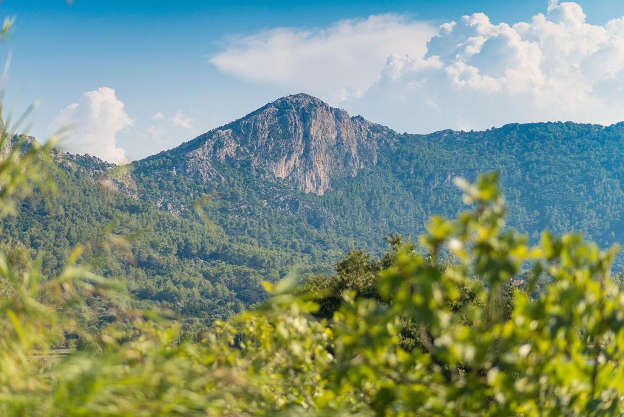 Finca Coster 포엔샤 외부 사진